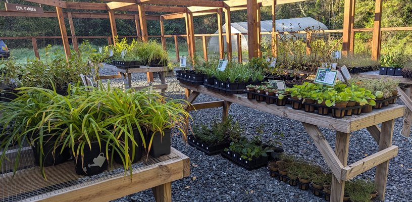 Local Grower Awarded NC AgVentures Grant